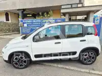 2022 Fiat Panda