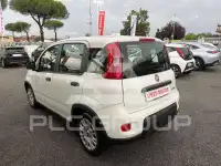 2022 Fiat Panda