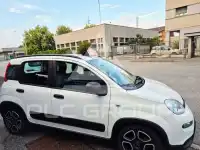 2022 Fiat Panda