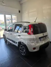 2022 Fiat Panda