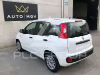 2022 Fiat Panda
