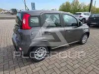 2022 Fiat Panda