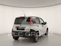 2022 Fiat Panda