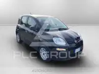 2022 Fiat Panda