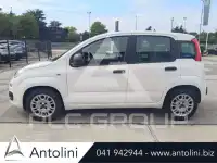 2022 Fiat Panda