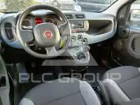 2022 Fiat Panda