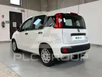 2022 Fiat Panda