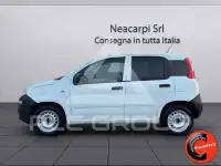 2022 Fiat Panda