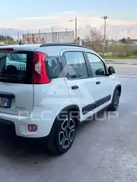 2022 Fiat Panda