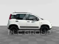 2022 Fiat Panda