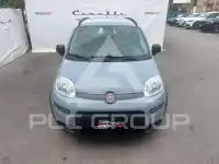 2022 Fiat Panda