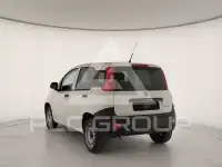 2022 Fiat Panda