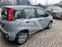 2022 Fiat Panda