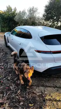 2022 Porsche Taycan