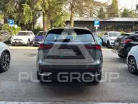 2020 Lexus NX300