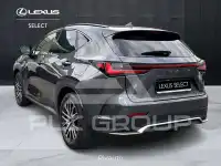 2022 Lexus NX300