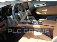 2022 Lexus NX300