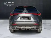 2022 Lexus NX300