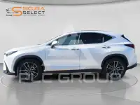 2022 Lexus NX300