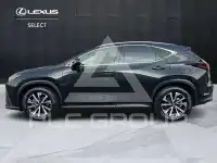 2022 Lexus NX300