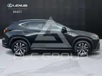 2022 Lexus NX300