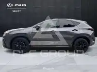 2022 Lexus NX300