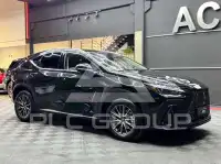 2022 Lexus NX300
