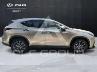 2022 Lexus NX300