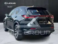 2022 Lexus NX300
