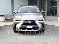 2022 Lexus NX300