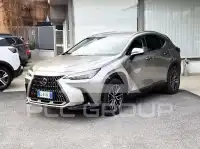 2022 Lexus NX300