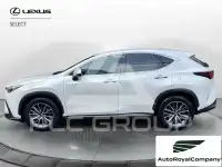 2022 Lexus NX300