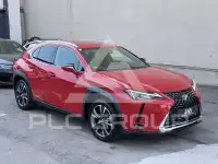 2022 Lexus UX250