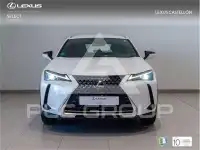 2022 Lexus UX250
