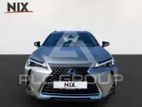 2022 Lexus UX250