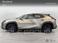 2022 Lexus UX250