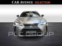 2022 Lexus UX250