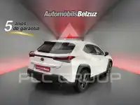 2022 Lexus UX250