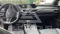 2022 Lexus UX250