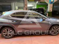 2022 Lexus UX250