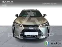 2022 Lexus UX250