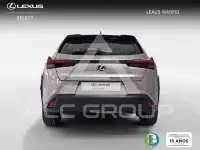 2022 Lexus UX250