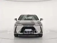 2022 Lexus UX250