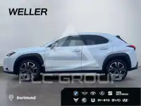 2022 Lexus UX250