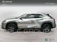 2022 Lexus UX250