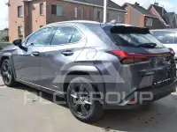2022 Lexus UX250
