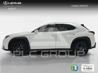 2022 Lexus UX250