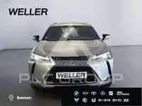 2022 Lexus UX250