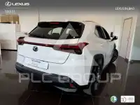 2022 Lexus UX250