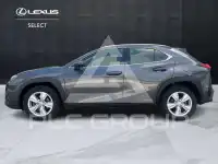 2022 Lexus UX250